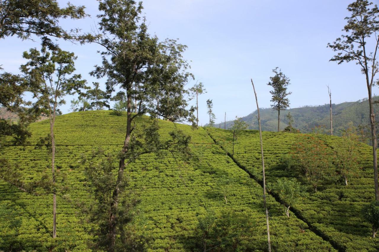 The Tea View Guest Ella Hotel Exterior photo